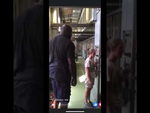 Shaq Scares a Gorilla
