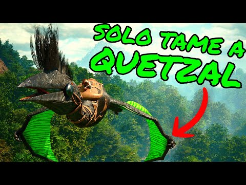 How To SOLO TAME a QUETZAL on Ark Survival Ascended! ASA Tips and Tricks