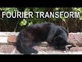 Fourier Transform Of My Cat
