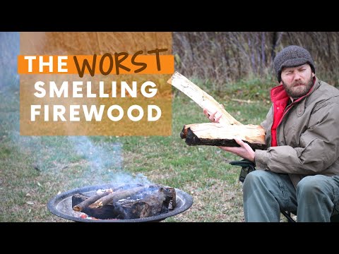 The WORST Smelling Firewood
