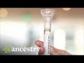 AncestryDNA | How to Submit Your AncestryDNA Sample | Ancestry