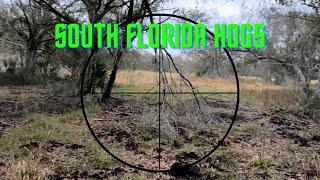 Wild Hog Hunting Public Land in Florida - Small game Season