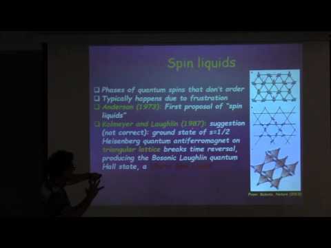SPICE Young Leaders Workshop - Eran Sela - Fractional TIs and quantum spin liquids