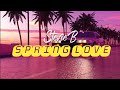 Stevie B - Spring Love (Lyrics)