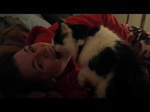 Famous Cat Music Critic Puts Her Foot Down