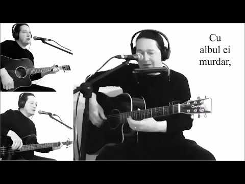 Dan Vasilescu - Alb murdar