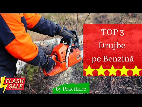 TOP 3 Drujbe pe Benzină. Merită Ruris?