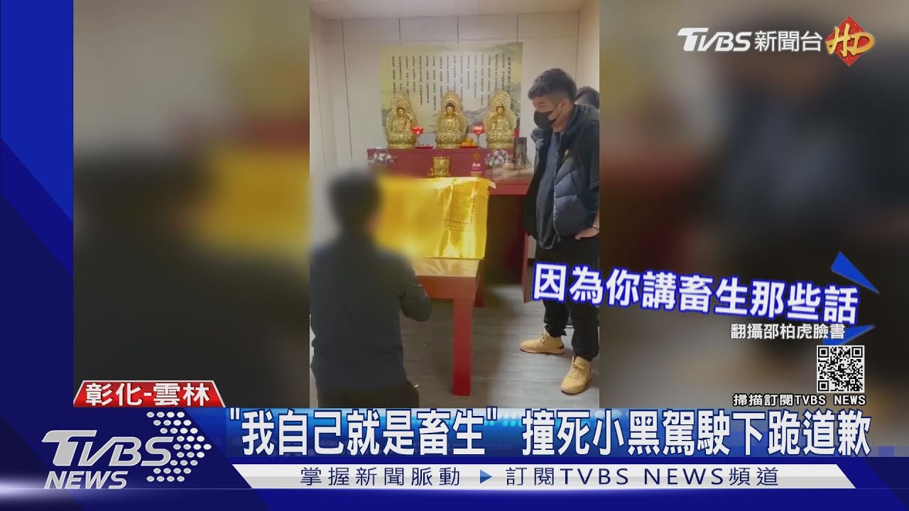 「我自己就是畜生」! 撞死小黑駕駛下跪道歉