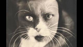 Cat Power - Werewolf