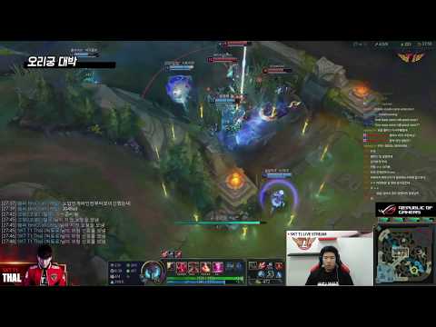 힘세고 오더 잘 내리는 상남자 [Weekly Thal]