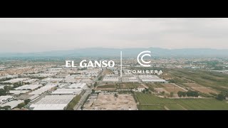 El Ganso El Ganso | Comistra anuncio