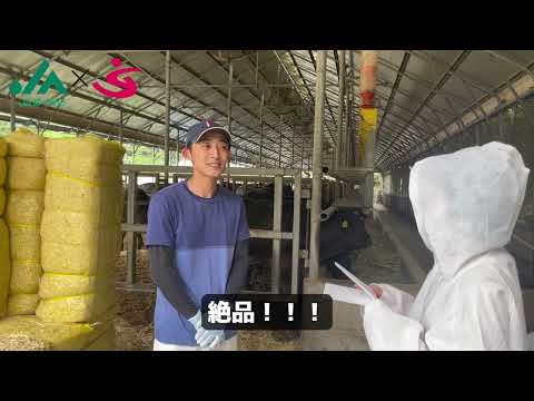 飛騨牛（レポート）｜JAめぐみの×美・デザイン＆医療事務コース　産学連携授業作成動画｜中部学院大学・中部学院大学短期大学部