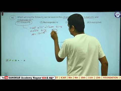 NTA BIOLOGY Paper Solution_02 | NCERT Biology Revision | Rapid bio revision | biology guru |