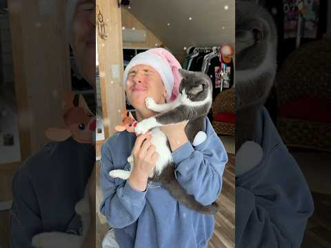 Mun kissa sai JÄÄTELÖÄ! 🍨 | Mainos: Peten Koiratarvike 🐱 Koodilla: JOULUSOHVI -20% 9.12. Asti