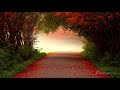 ONE HOUR Dean Evenson Sound Healing Music Mix - De-stress, Anti Stress, Relaxation, Yoga