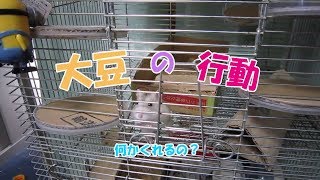 だいず(1階)の様子