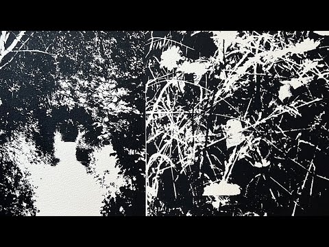 Holzweiler SS24 'Rewilding' featuring Suzannah Pettigrew