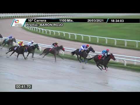 210326 c10 - MY PIONEER - HIPODROMO LAS PIEDRAS
