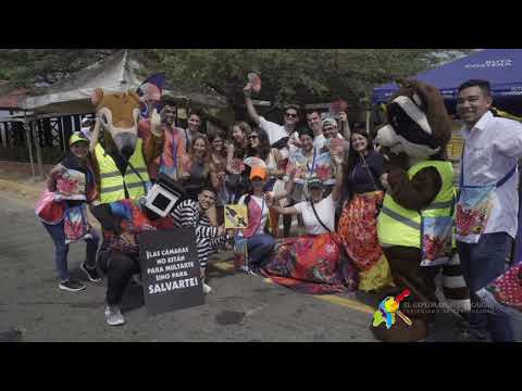 Balance positivo del Tránsito del Atlántico 