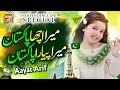 Aayat Arif || Mera Acha Pakistan Mera Pyara Pakistan || 14 August Song | Official Video | Heera Gold