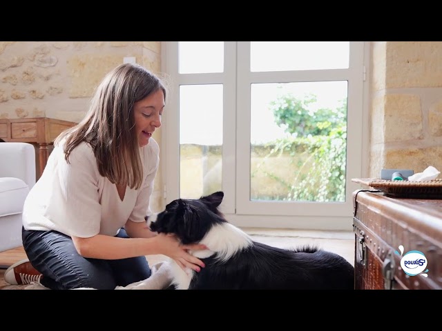 Vídeo relacionado con Douxo S3 Care - Loción Auricular para Perros y Gato - Higiene - Uso frecuente (60 ml)