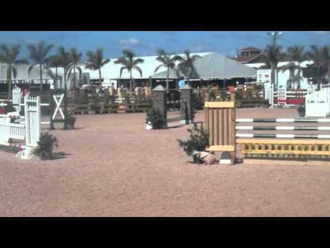 Victor Amaya-Misty Z, Wellington 2011