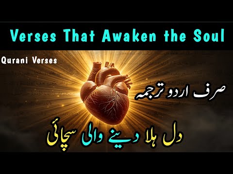 DIL About In Quran Verses Urdu Translation Listen Carefully
