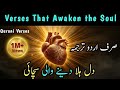 DIL About In Quran Verses Urdu Translation Listen Carefully