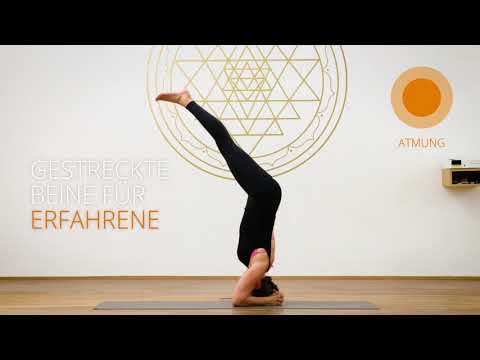 Gigasport Fitness Academy 2017 -  Sirsasana