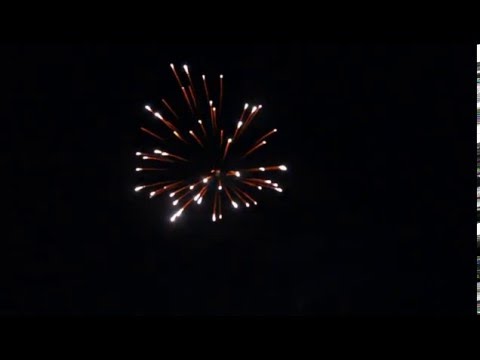 62mm Silver Chrysanthemum - PFX62BB-S - Dominator Pro