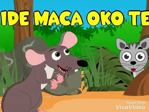 DJECIJA PJESMICA (IDE MACA OKO TEBE)🐈❤