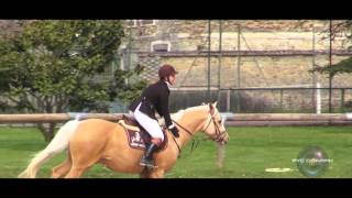 preview picture of video 'La Courbette - SIXTINE & APOLLO - CSO - 30 Mars 2014'