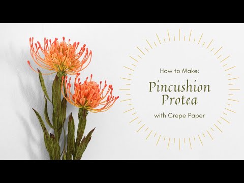 LEARN TO MAKE PROTEA- PINCUSHION with Crepe Paper #paperflower