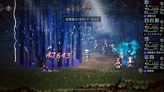 歴戦の斧2ターン（6連戦しかできない）【オクトラ大陸の覇者】