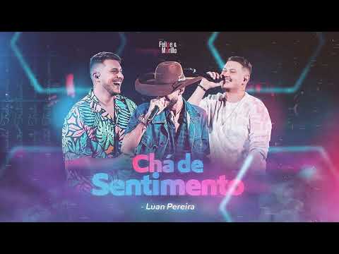 Felipe e Murillo ft Luan Pereira   Chá de Sentimento Oficial