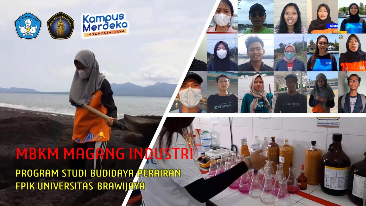 MBKM Magang Industri Mahasiswa Program Studi S1 Budidaya Perairan, FPIK UB