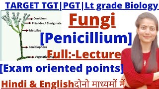 TGT|PGT Biology|Penicillium (Full lecture)Fungi|Lt grade|GIC biology|by Priyal bhati