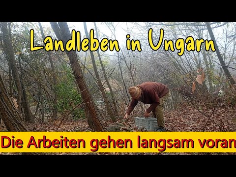 Work is progressing slowly. Rural life in Hungary