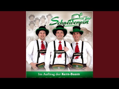 Fliege Mit Mir In Die Heimat - Schneiderwirt Trio
