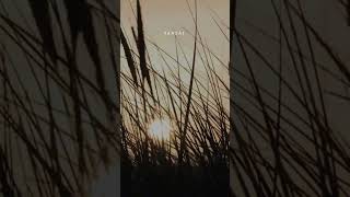 Download lagu Tak Perlu Khayal Tinggi #shortvideo #viral #trending #storywa #status mp3