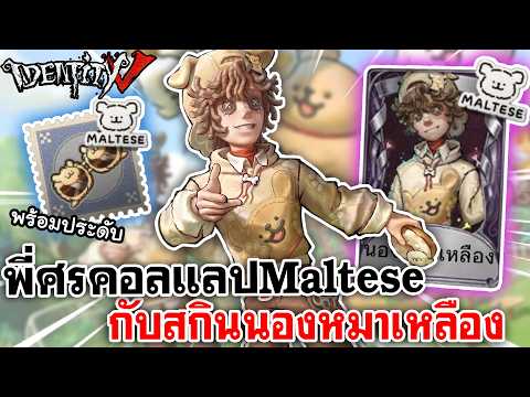 Identity V | พี่ศรคอลแลป MALTESE กับสกินน้องหมาเหลือง พร้อมประดับ