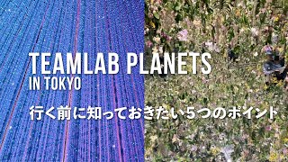 vlog/teamLab in Tokyo 5 things to know before you go/Japan/Tokyo/travel/Toyosu