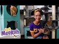 Meekah Visits The Animal Shelter Animals For Kids Blippi Meekah Educational Videos For Kids