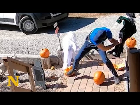Delivery man snaps and destroys clients Halloween decoration