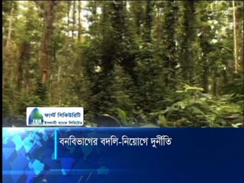 বন অধিদফতর বনাঞ্চল রক্ষার বদলে ক্ষমতাসীনদের দখলে সহায়তা করছে | ETV News