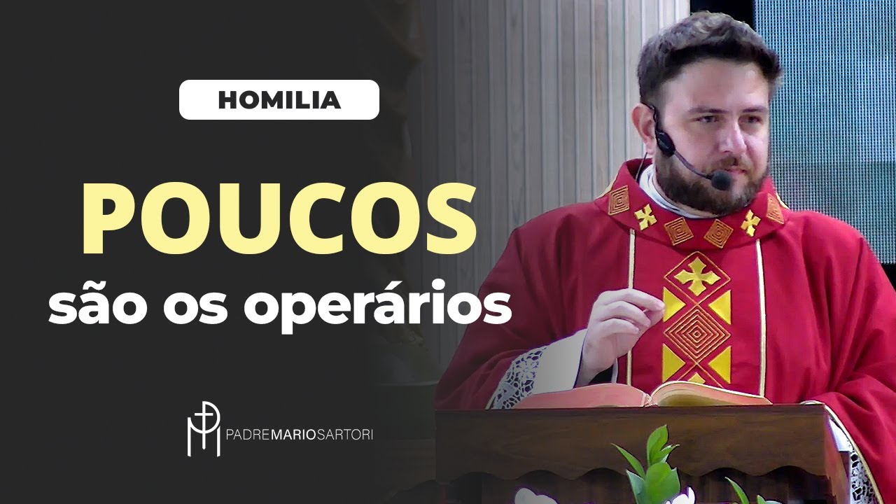 #HOMILIA Poucos são os operários | Padre Mario Sartori