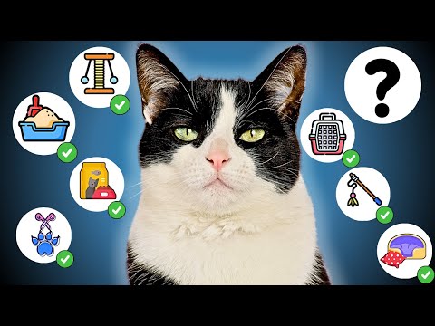 MORAŠ IMATI OVO! (8 stvari bez kojih mačka ne može)