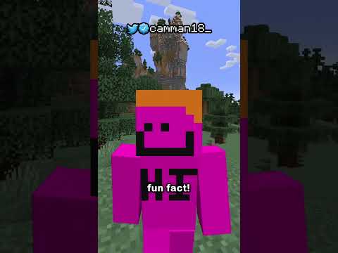 Every Name Tag Easter Egg