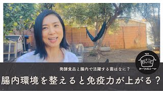 発酵食の菌の種類・なぜ腸内環境を整えると免疫力が上がるのか