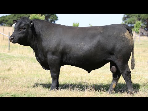 GRANITE RIDGE QUARTZ Q202